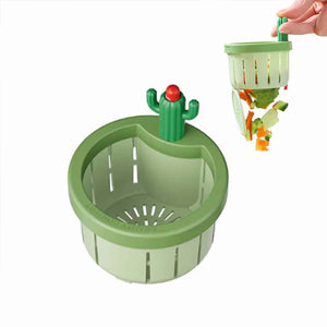 Cactus créatif pour un drainage pratique