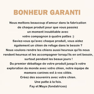 Tapis rafraîchissant pour chiens (4 fois plus efficace)