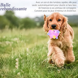 Jouet pour animaux de compagnie boule sautante lumineuse
