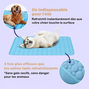 Tapis rafraîchissant pour chiens (4 fois plus efficace)