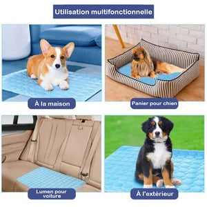 Tapis rafraîchissant pour chiens (4 fois plus efficace)