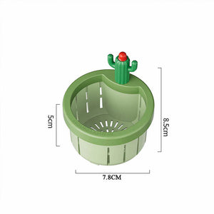 Cactus créatif pour un drainage pratique