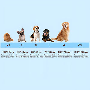 Tapis rafraîchissant pour chiens (4 fois plus efficace)