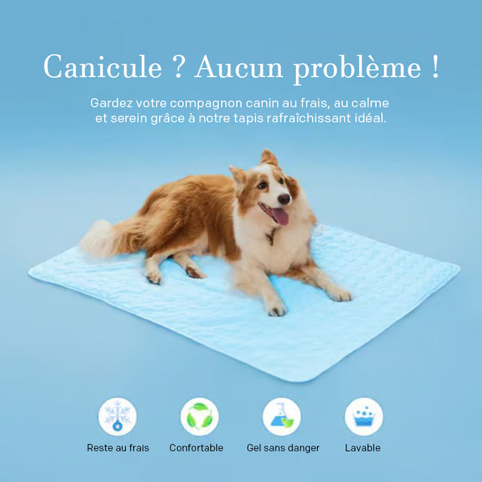 Tapis rafraîchissant pour chiens (4 fois plus efficace)