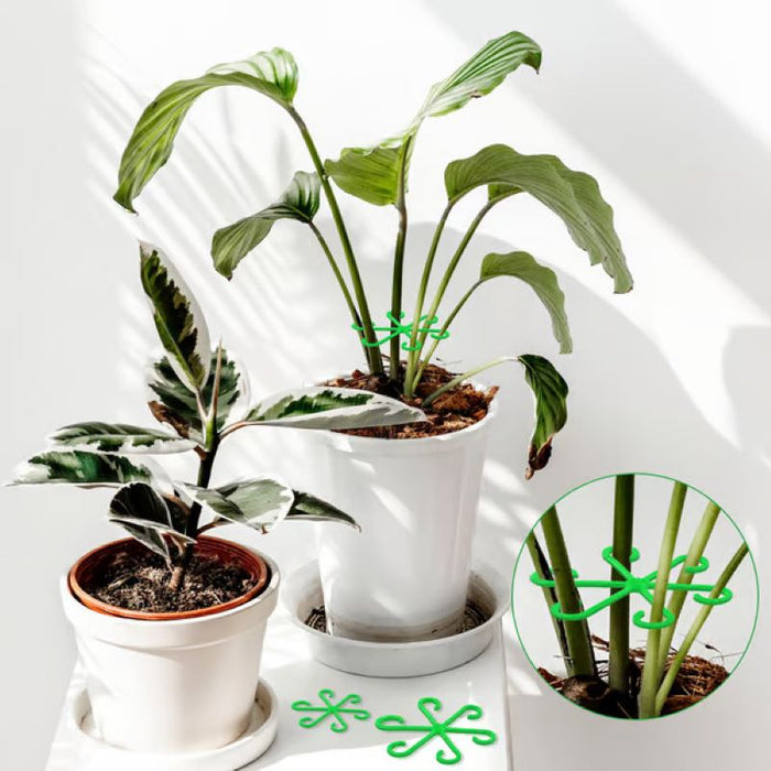 🌿Ensemble de supports pour tiges de plantes