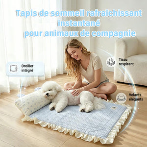 Tapis rafraîchissant avec coussin pour animaux de compagnie