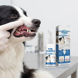 Détartrant moussant pour l'hygiène bucco-dentaire des animaux