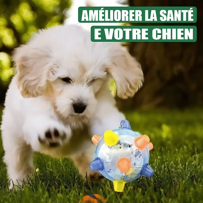 Jouet pour animaux de compagnie boule sautante lumineuse