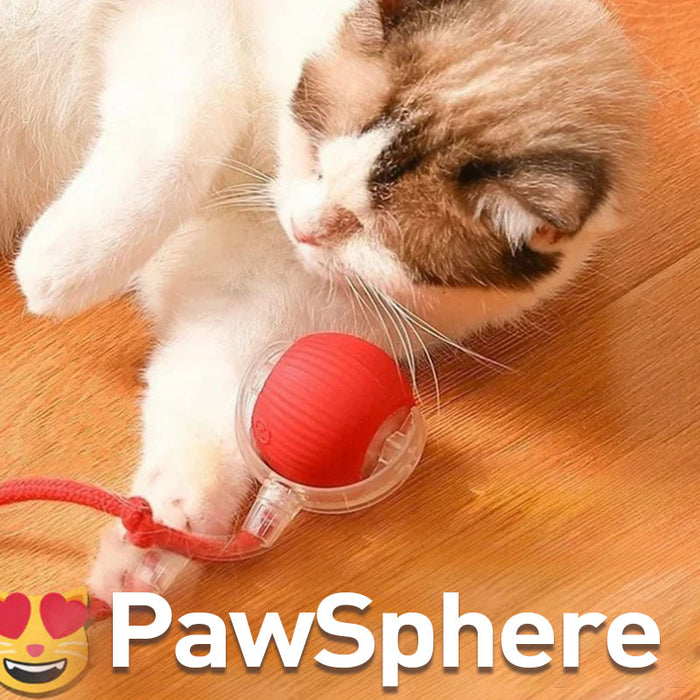 Jouet balle intelligent pour chat