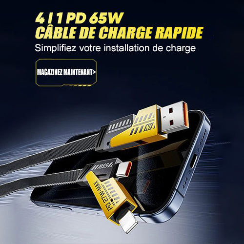 Câble de données de charge rapide 4 en 1