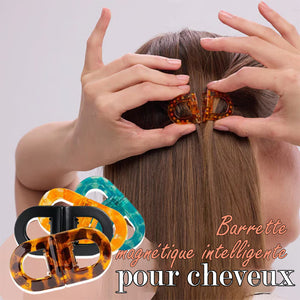 Pinces à cheveux magnétiques antidérapantes