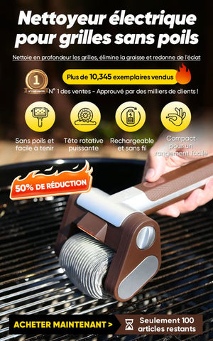 Brosse de nettoyage pour gril en acier inoxydable
