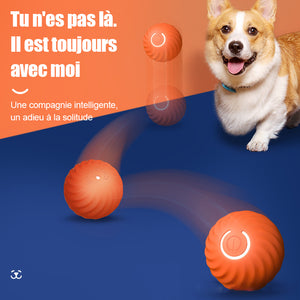 Jouet pour chien à balle rebondissante rechargeable