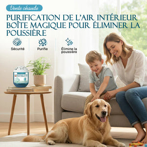 Boîte magique de purification et d'élimination de poussière pour l'air intérieur