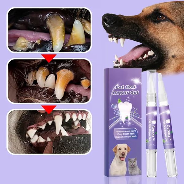 Stylo de nettoyage des dents d'animaux de compagnie（Achetez-en 1, obtenez-en 1 gratuitement）