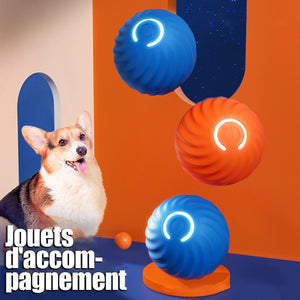 Jouet pour chien à balle rebondissante rechargeable