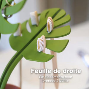 Organisation et rangement de la salle de bain