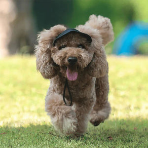 Chapeau de soleil pour chien en plein air