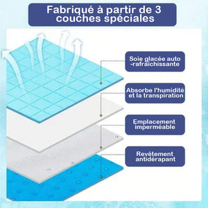 Tapis rafraîchissant pour chiens (4 fois plus efficace)