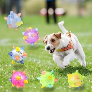 Jouet pour animaux de compagnie boule sautante lumineuse
