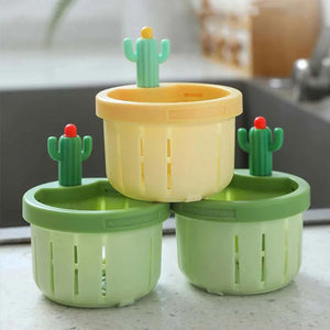 Cactus créatif pour un drainage pratique