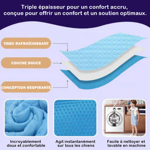 Tapis rafraîchissant pour chiens (4 fois plus efficace)