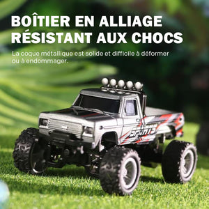 Mini Monster Truck RC