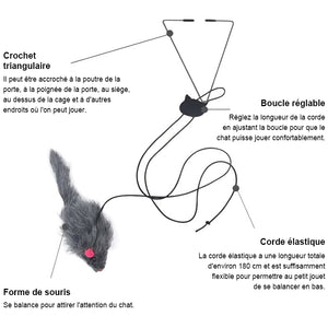 Un jouet interactif pour chat qui rebondit sur la porte