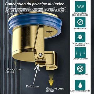 Descente d'eau universelle en laiton, noyau de drainage de sol, désodorisant anti-odeur