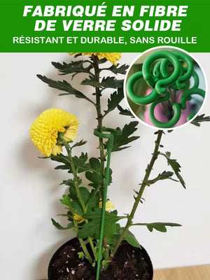 Support fixe anti-vigne pour plantes grimpantes