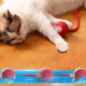 Jouet balle intelligent pour chat