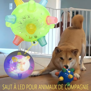 Jouet pour animaux de compagnie boule sautante lumineuse