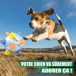 Jouet pour animaux de compagnie boule sautante lumineuse