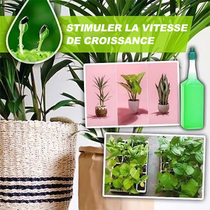 🍀Engrais liquide hydroponique incroyable🌱