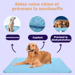 Tapis rafraîchissant pour chiens (4 fois plus efficace)