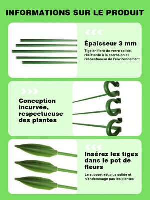 Support fixe anti-vigne pour plantes grimpantes