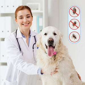 Boucle de collier anti-insectes pour animaux de compagnie