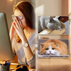 🔥 Balle rebondissante interactive pour chat avec plumes 🐱