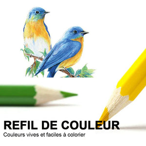 Ensemble de stylos de couleur solubles dans l'eau