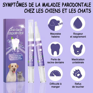 Stylo de nettoyage des dents d'animaux de compagnie（Achetez-en 1, obtenez-en 1 gratuitement）