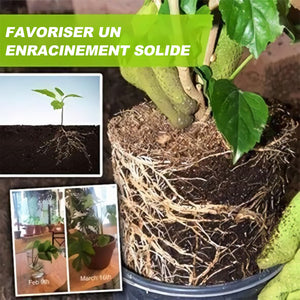 🍀Engrais liquide hydroponique incroyable🌱