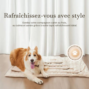 Tapis rafraîchissant pour chiens (4 fois plus efficace)