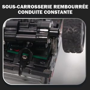 Mini Monster Truck RC