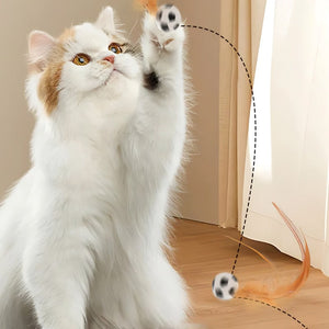 🔥 Balle rebondissante interactive pour chat avec plumes 🐱