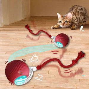 Jouet balle intelligent pour chat