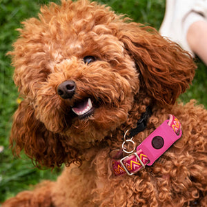 Boucle de collier anti-insectes pour animaux de compagnie