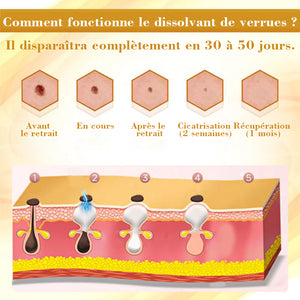 Crème réparatrice concentrée au venin d'abeille