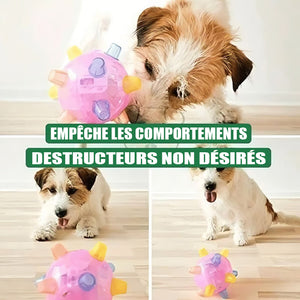 Jouet pour animaux de compagnie boule sautante lumineuse