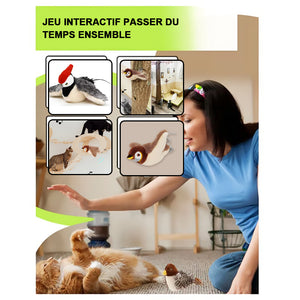 Jouet électrique pour oiseau et chat, simulation sonore