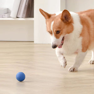 Jouet pour chien à balle rebondissante rechargeable